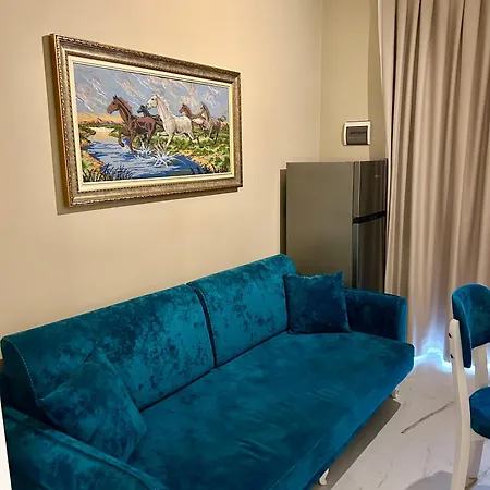 Apartment Shehu Zverneci