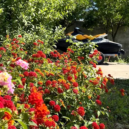 Shehu Appartement Zverneci