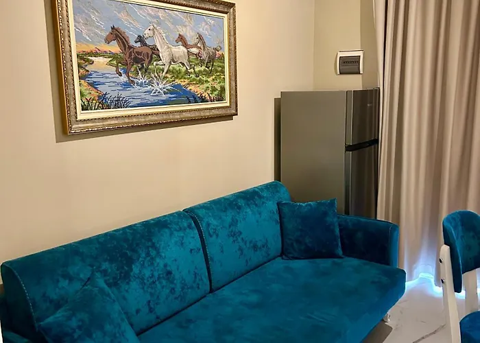 Apartment Shehu Zverneci
