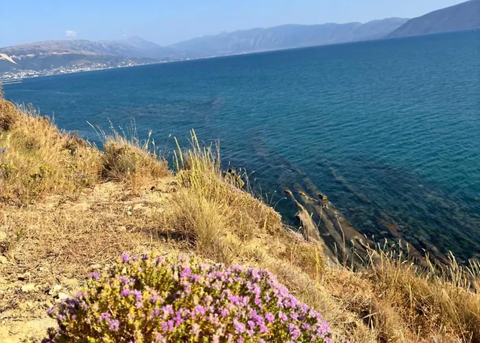 Shehu Zverneci