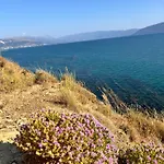 Shehu Zverneci