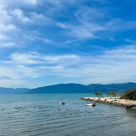 Shehu * Zverneci