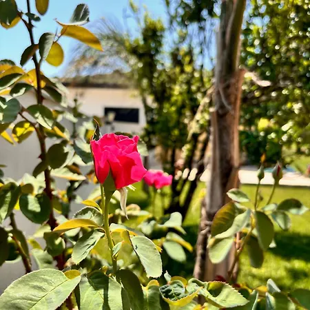 Apartamento Shehu Zverneci