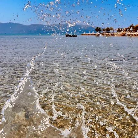 Apartament Shehu Zverneci