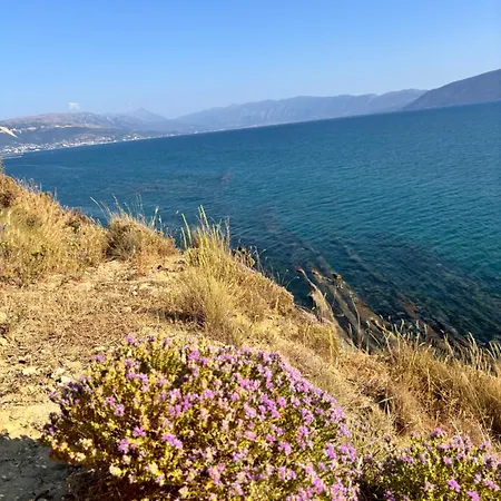 Shehu Zverneci