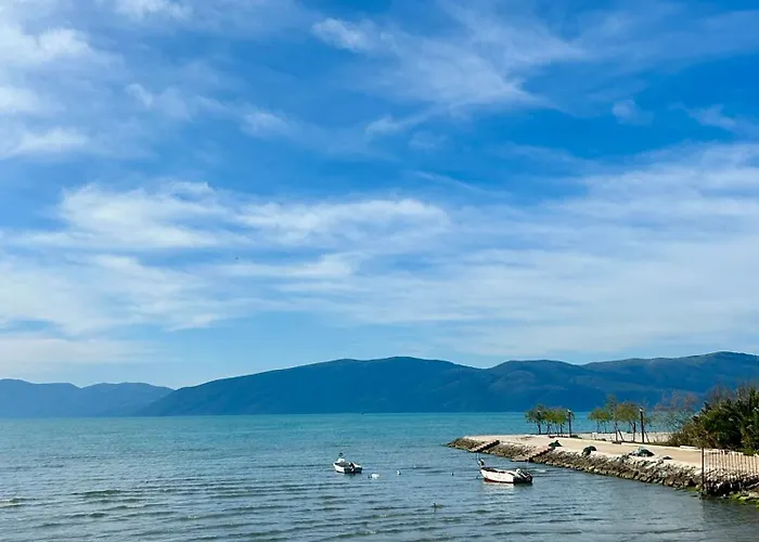 Shehu * Zverneci