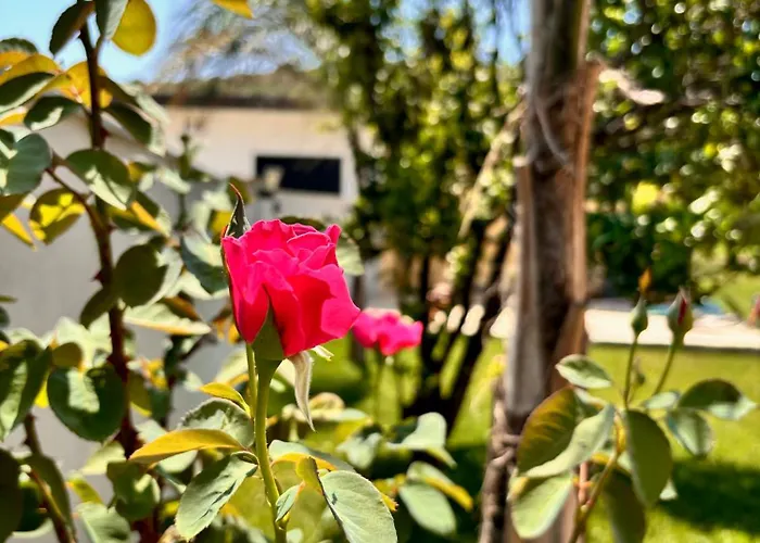 Apartamento Shehu Zverneci