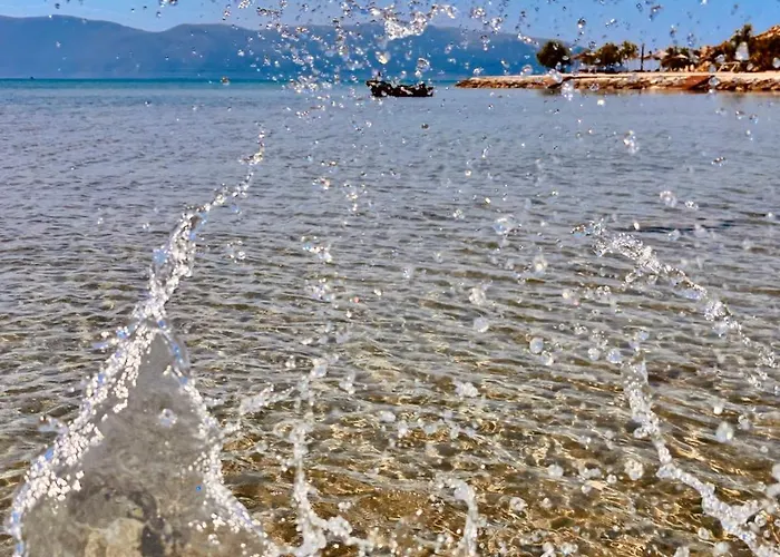 Apartamento Shehu Zverneci