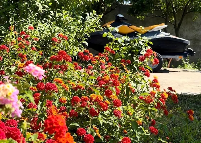 Shehu Apartamento Zverneci